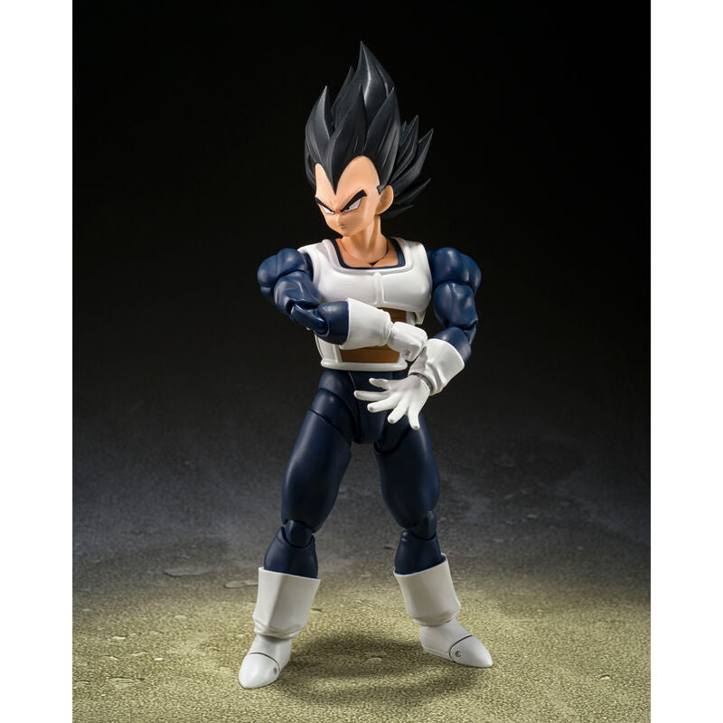 VEGETA OLD BATTLE CLOTHES