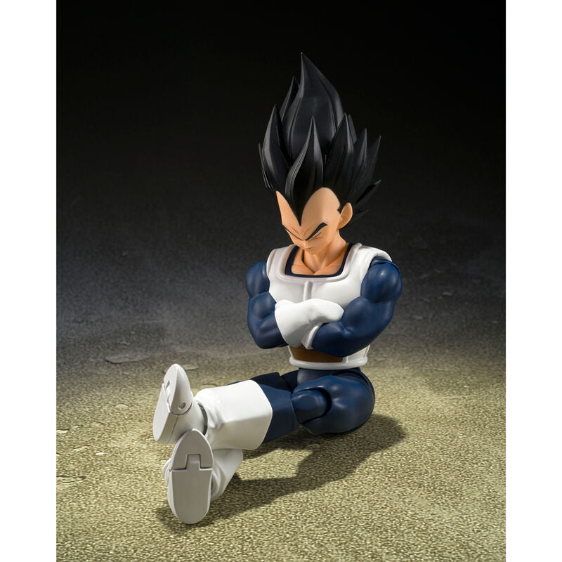 VEGETA OLD BATTLE CLOTHES