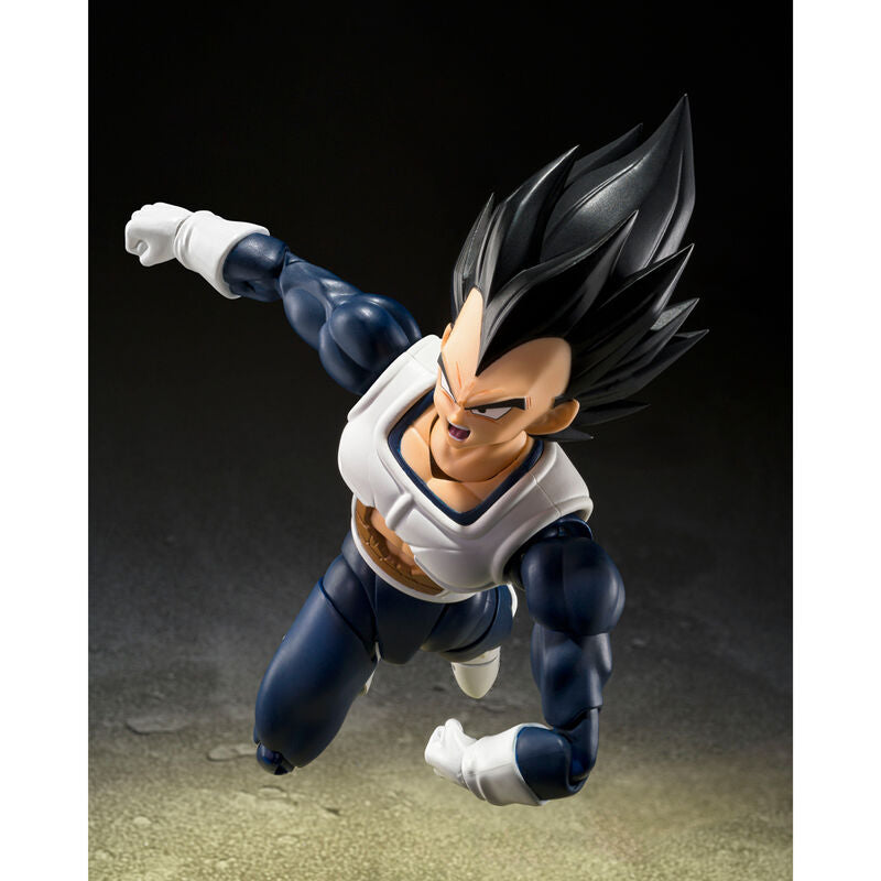 VEGETA OLD BATTLE CLOTHES
