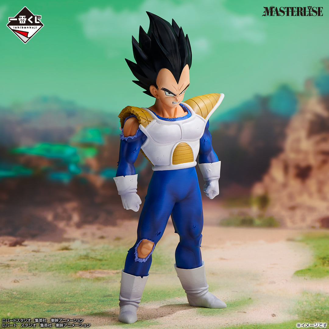 VEGETA VS OMNIBUS CROSS