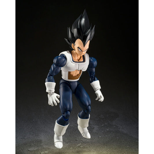 VEGETA OLD BATTLE CLOTHES