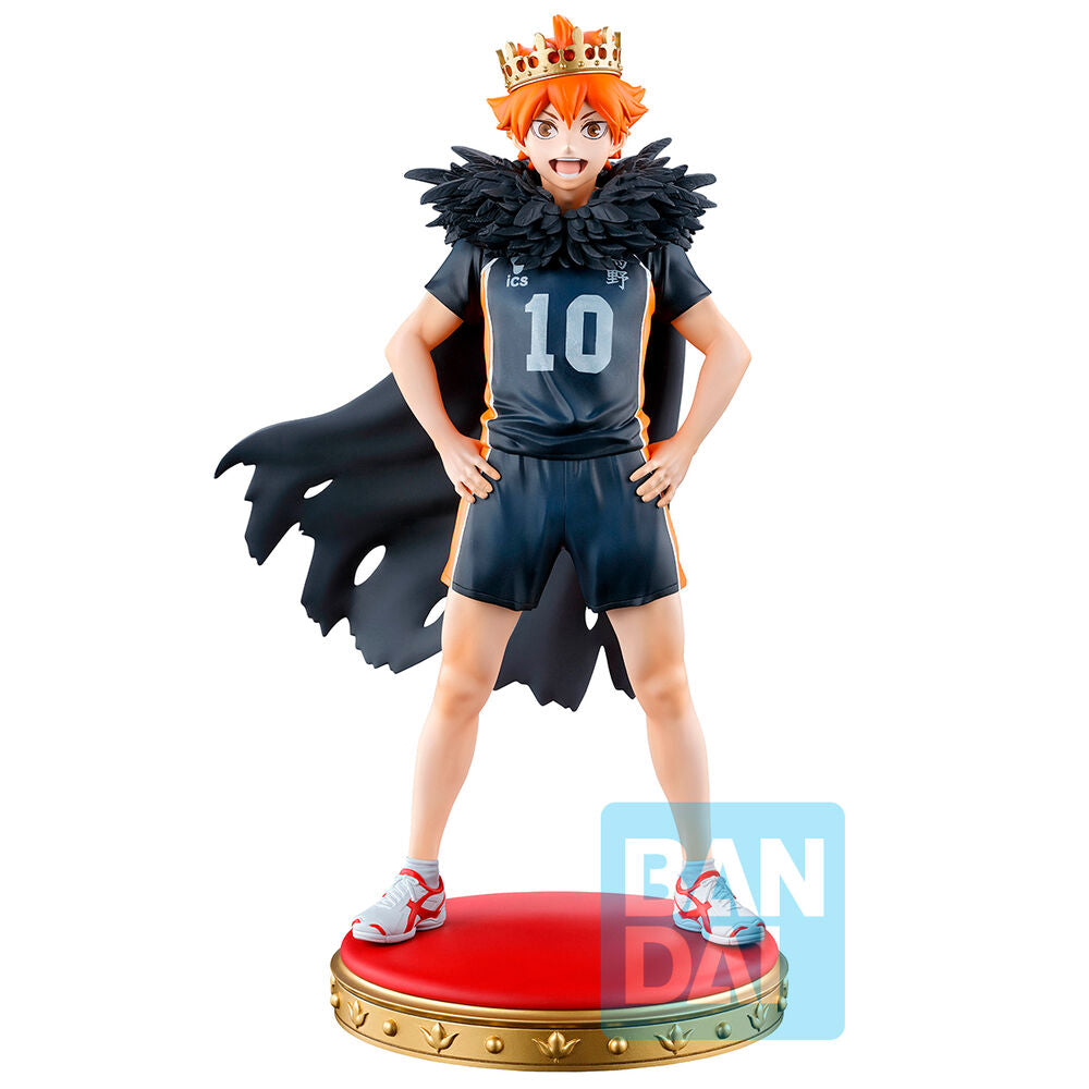 SHOYO HINATA HAIKYU