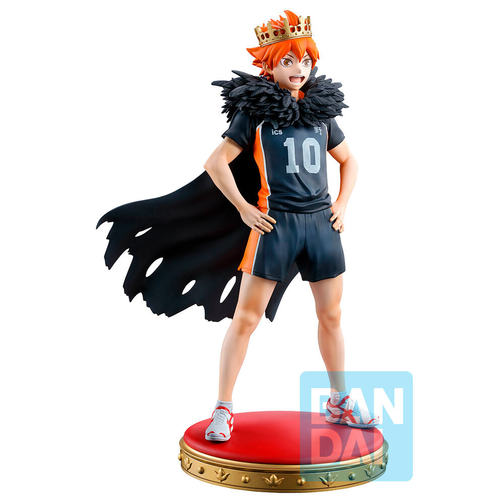 SHOYO HINATA HAIKYU