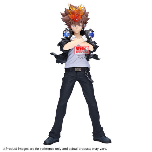 TSUNAYOSHI SAWADA KATEKYO HITMAN