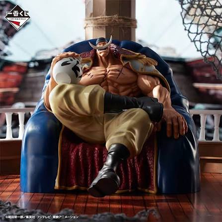 Edward newgate Whitebeard Pirates ~Father and Sons~