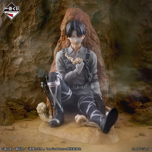 LEVI EACH PERSON'S DETERMINATION
