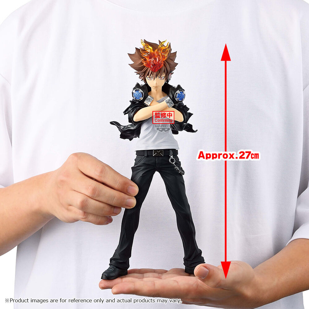 TSUNAYOSHI SAWADA KATEKYO HITMAN